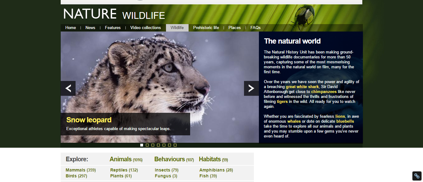 bbc_wildlife